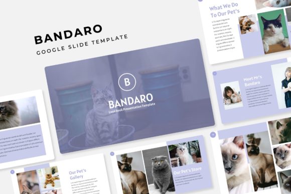 Effortless Design: The Bandaro Google Slide Template Guide